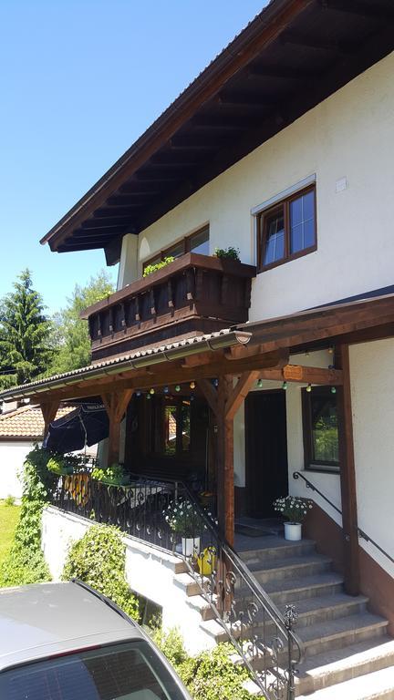 Pension Lischenhof Ehrwald Extérieur photo